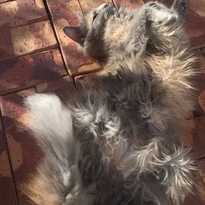 Amber so relaxed