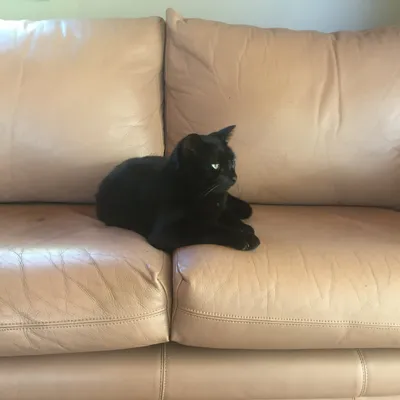 Killarney